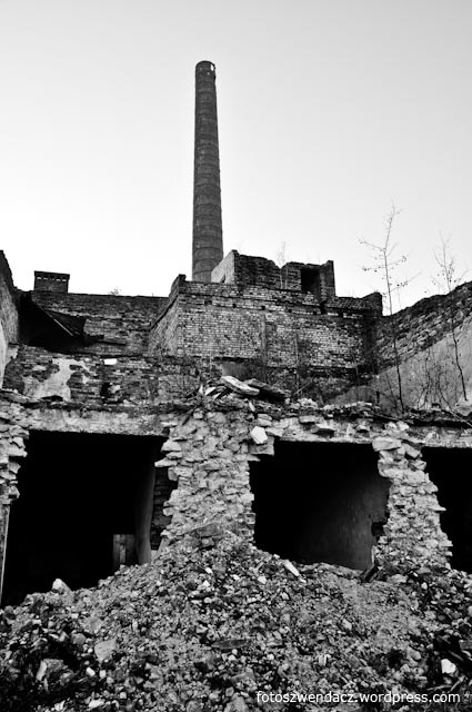 Ruiny cegielni Sołtyków